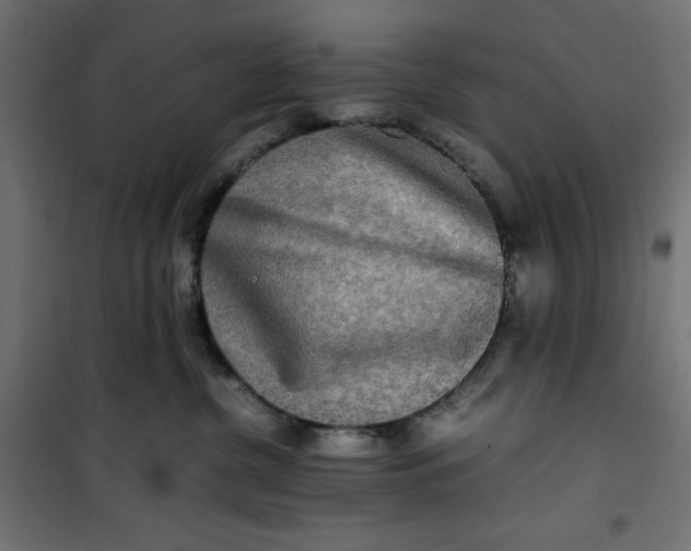 X0000100850380200807070939