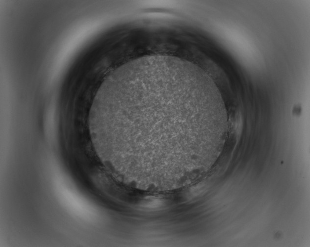 X0000100850381200807070939