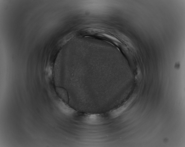 X0000100850382200807070939