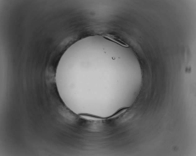 X0000100850384200807070939