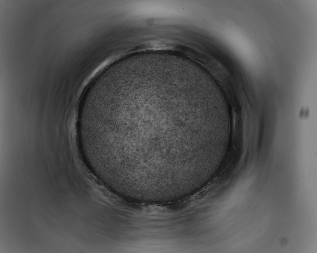 X0000100850387200807070938