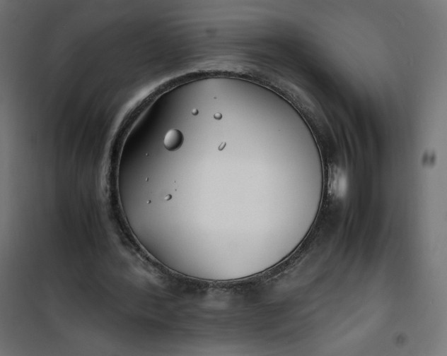 X0000100850388200807070938