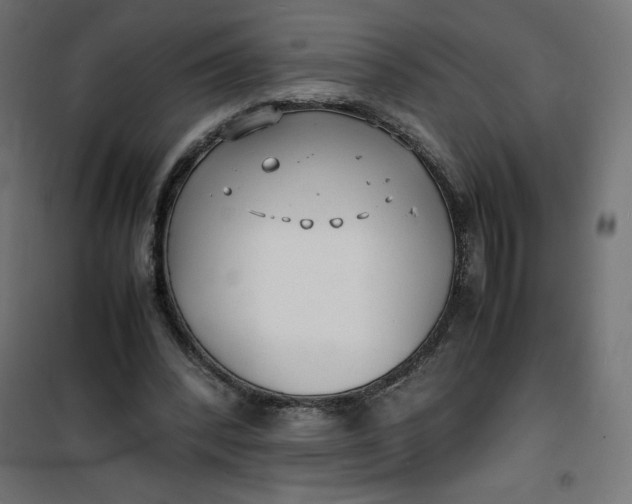 X0000100850392200807070938