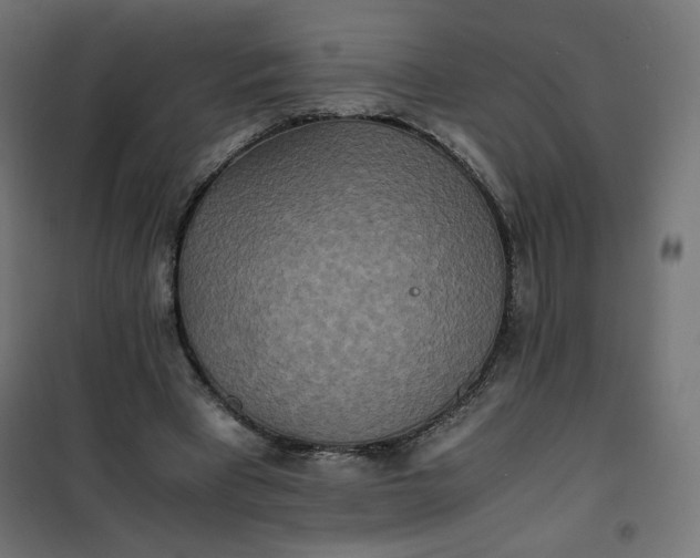 X0000100850393200807070938