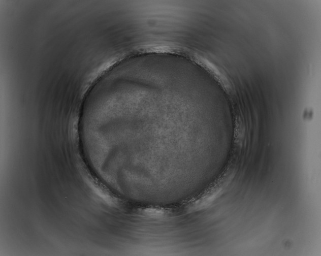 X0000100850394200807070938