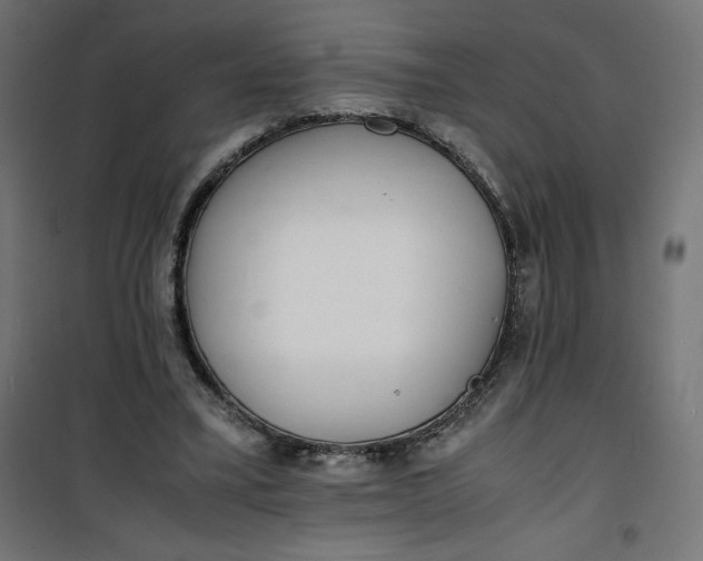 X0000100850395200807070938