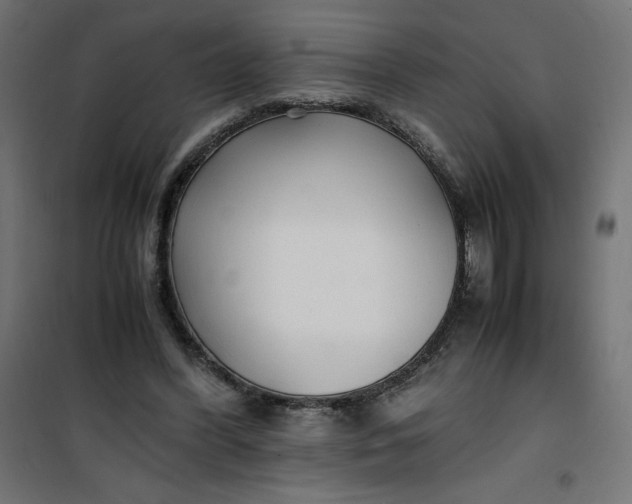 X0000100850396200807070938