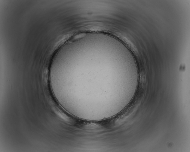 X0000100850397200807070938