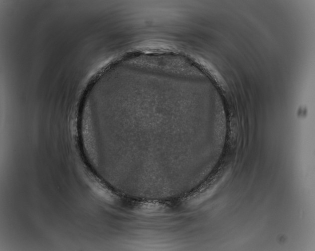 X0000100850399200807070938