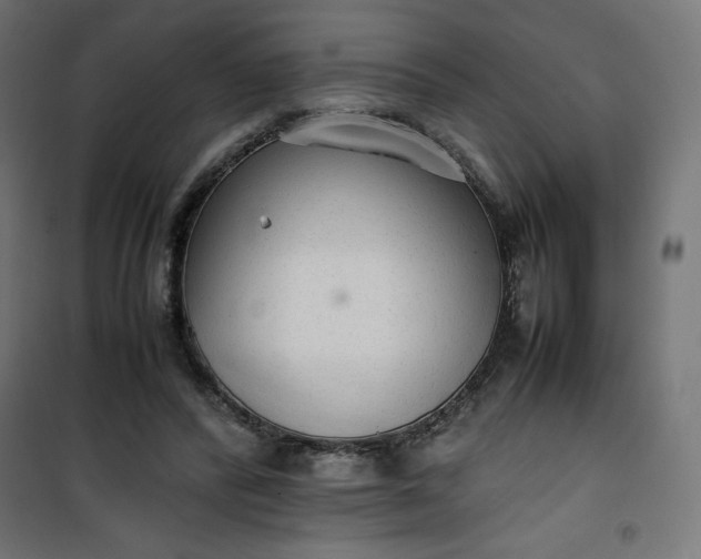 X0000100850400200807070938