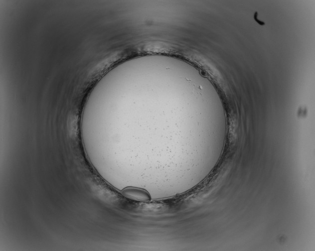 X0000100850401200807070938