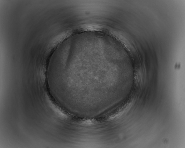 X0000100850402200807070938