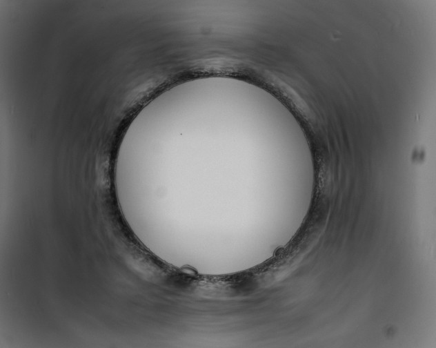 X0000100850403200807070938