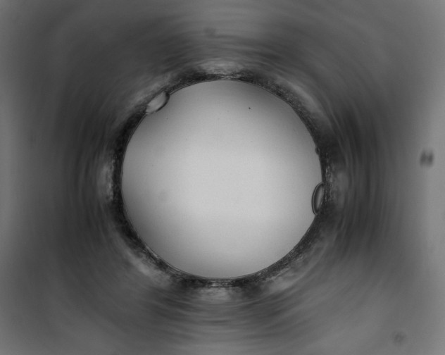 X0000100850404200807070938