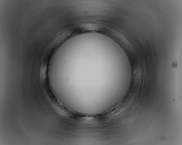 X0000100850406200807070938