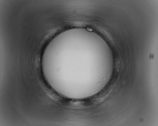 X0000100850407200807070938