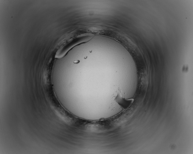 X0000100850408200807070938