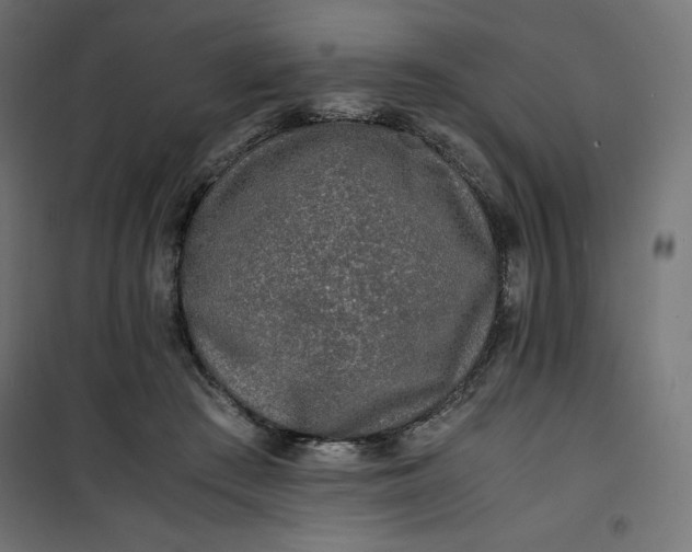 X0000100850409200807070938