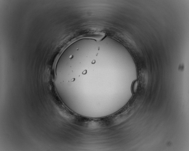 X0000100850412200807070938