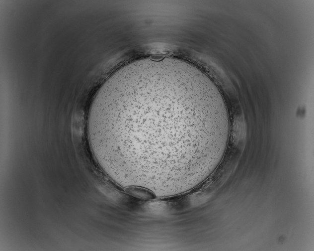 X0000100850413200807070938