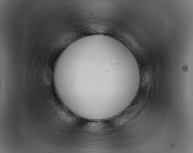 X0000100850414200807070938