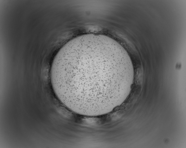 X0000100850417200807070938