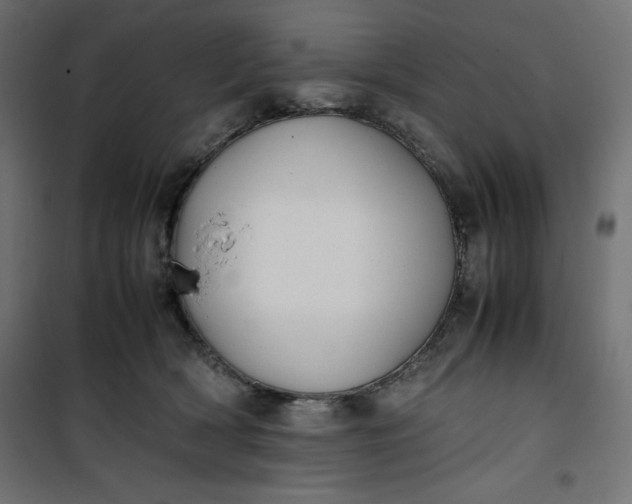 X0000100850418200807070938