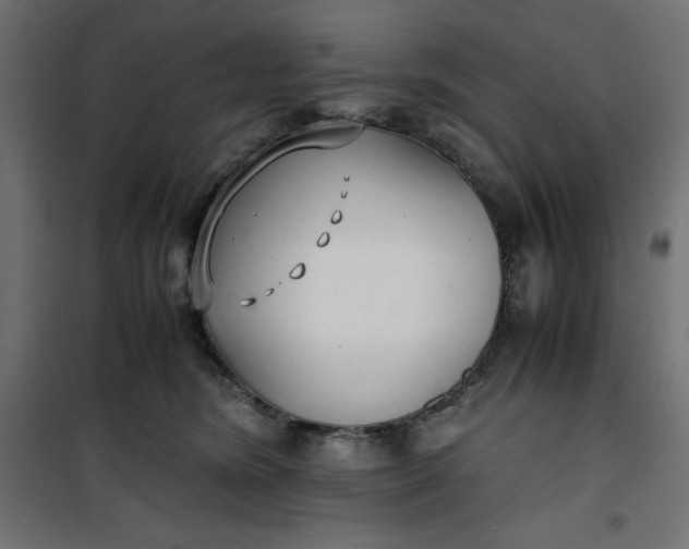 X0000100850420200807070938