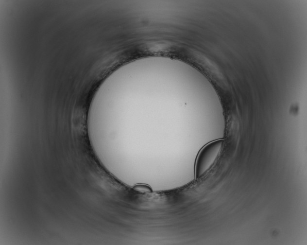 X0000100850421200807070938