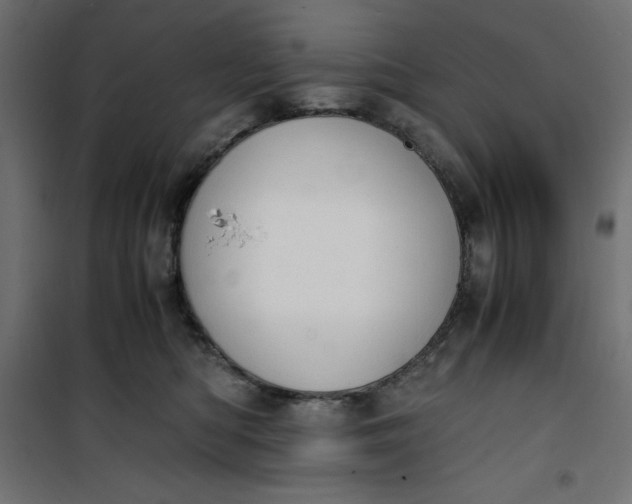 X0000100850422200807070938