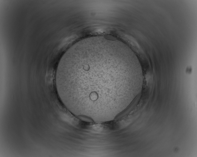 X0000100850423200807070938