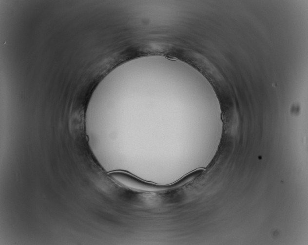 X0000100850425200807070938