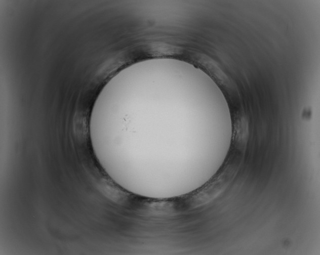 X0000100850426200807070938