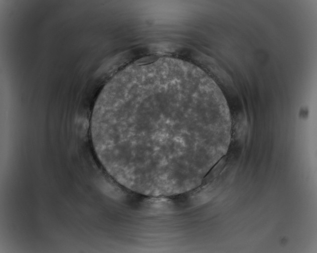 X0000100850427200807070938