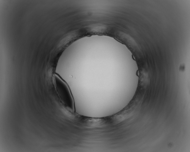 X0000100850428200807070938