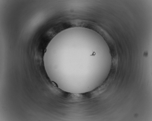 X0000100850429200807070938