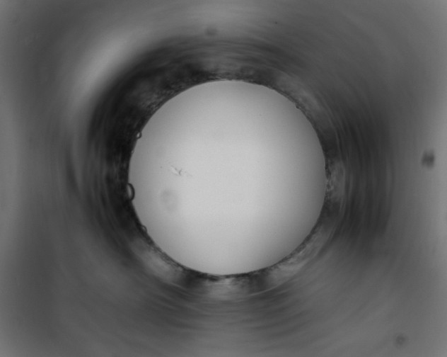 X0000100850430200807070938