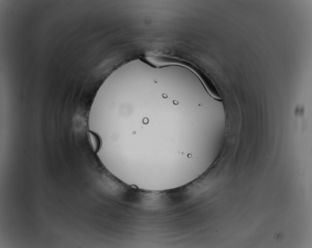 X0000100850432200807070938