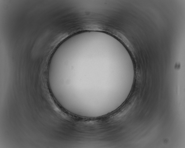 X0000100850433200807070937