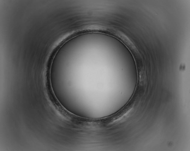 X0000100850436200807070937