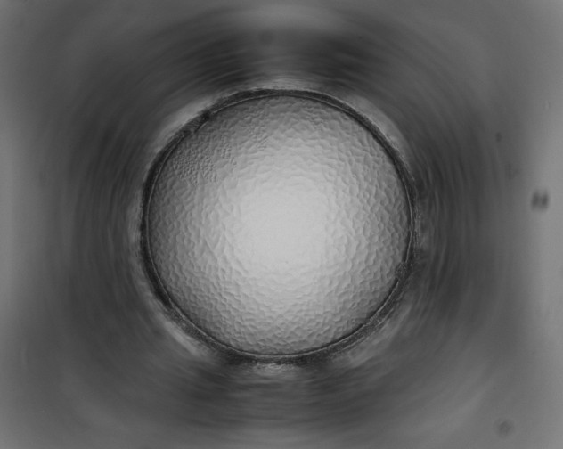 X0000100850437200807070937