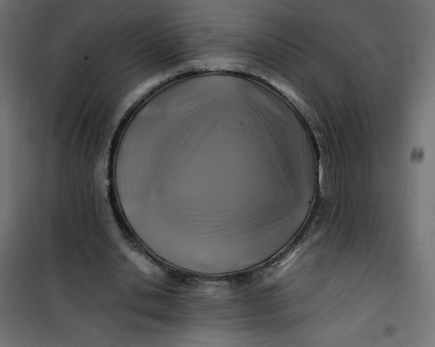 X0000100850438200807070937