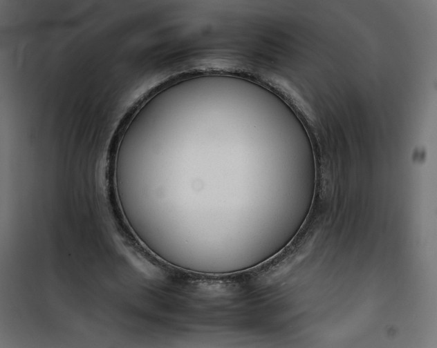 X0000100850439200807070937