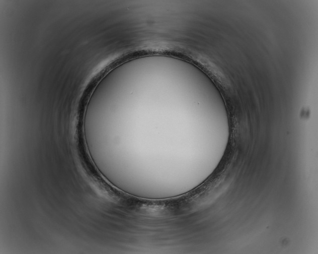 X0000100850440200807070937