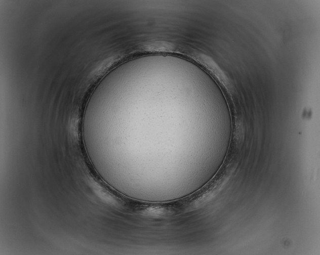 X0000100850441200807070937