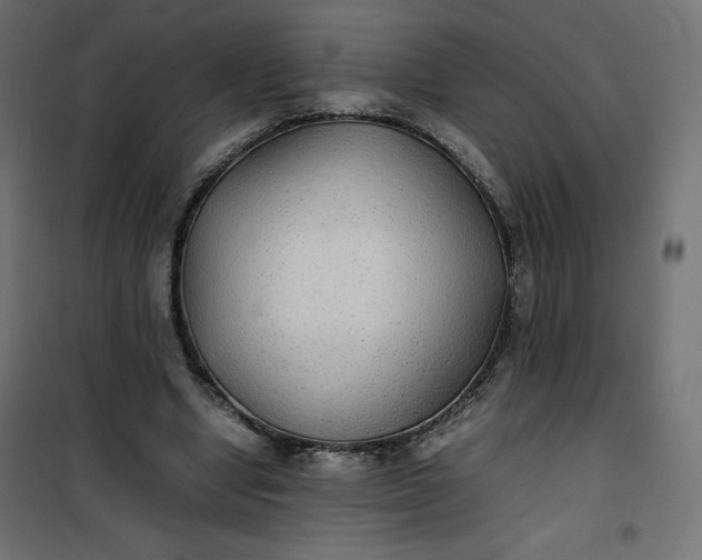 X0000100850442200807070937