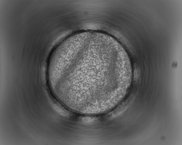 X0000100850444200807070937