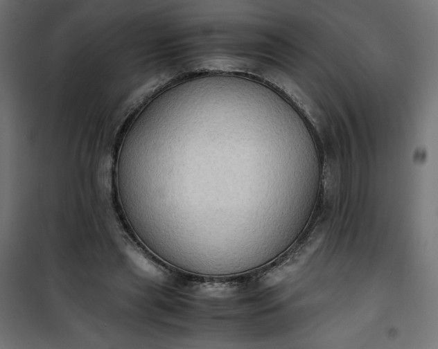 X0000100850445200807070937