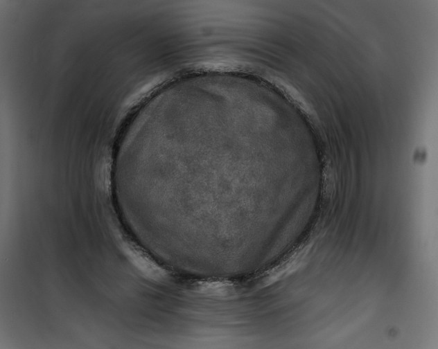 X0000100850446200807070937