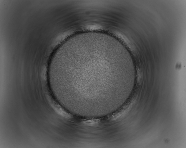 X0000100850447200807070937